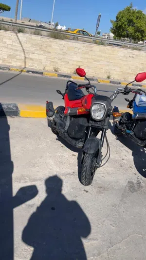 هوندا نافي