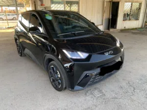 للبيع BYD Seagull 2024 كفاله الشركه عداد قليل 23 الف بسعر 12800 دينار