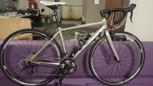 Trek Lexa Road Bike (Small)