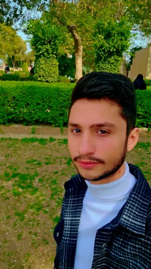 محمد سالم حمزة 