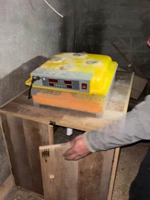 فقاسه 60 بيضه وحاضنه للبيع او للبدل ع دجاج