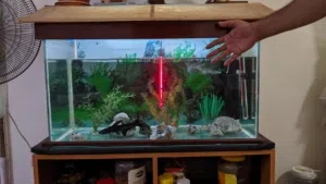 Fish Tank for Sale