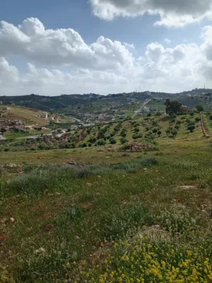 Residential Land for Sale in Zarqa Rajm Al Shawk
