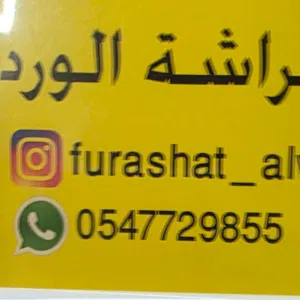 فراشة الورد 