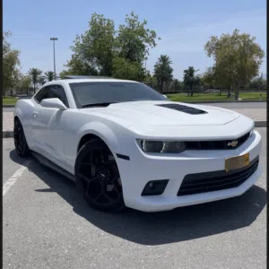 بدر 