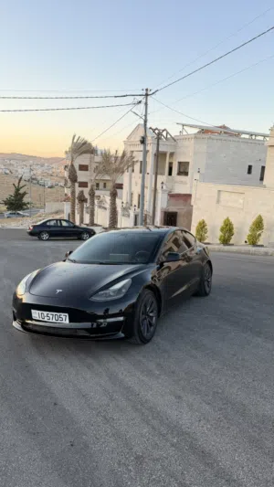 Tesla Model 3 Standard Plus 2021