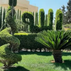 landscape design 