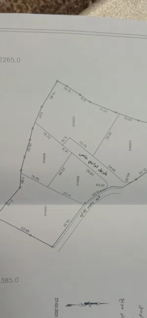 Mixed Use Land for Sale in Bethlehem Beit Ta'mar