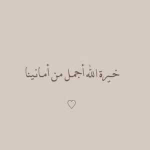 محمد علاء
