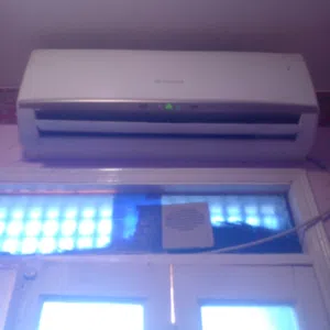 فريش بارد دجتال حصان ونص