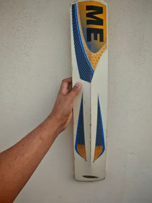 Professional ME (M.E. Sports) Hard Ball Cricket Bat + Carry Bag