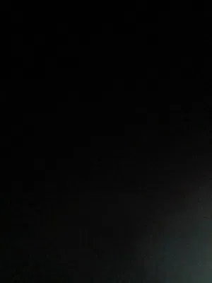 مطلوب كلب للتبني في مصراتة