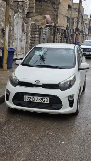 بيكانتو 2019 خليجي رقم اربيل سنوية جديدة بيها صبغ جاملغ خلفي وبارد جاملغ امامي