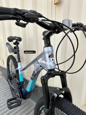 Vélo MTB ITALIANO
