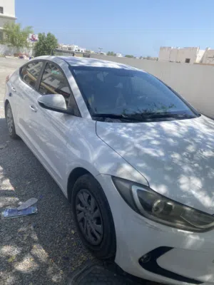 Used Hyundai Elantra in Muscat