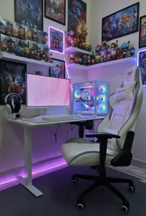 Gaming Setup/i5 14600K/RTX 4070 12gb/32gb DDR5 rams/1TB Nvme Gen4
