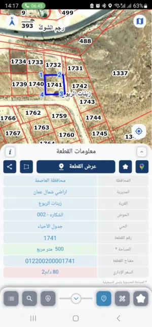 Residential Land for Sale in Amman Zinat Al-Rubue