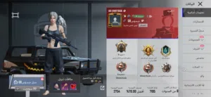 Pubg Accounts and Characters for Sale in Farwaniya