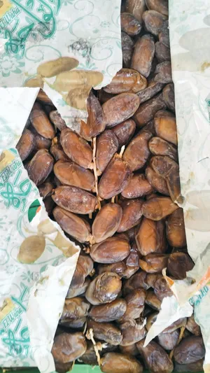 ‏تمور‏3