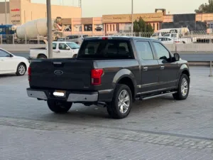 Ford  F-150 / 2020 (Grey)