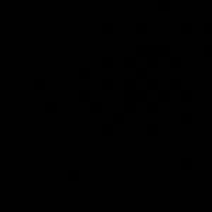 Bs 