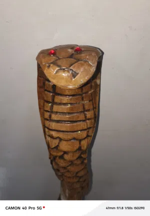 عصا الكوبرا ملفوفه بالفضه