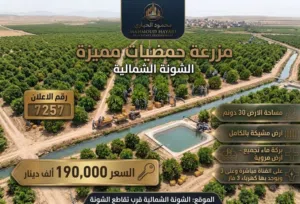 Farm Land for Sale in Irbid North Shuna