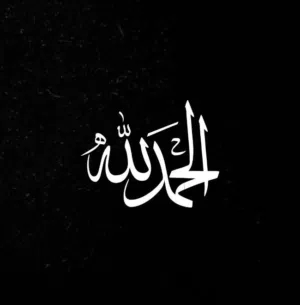 عمر علاء ابراهيم 