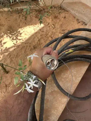 كابل نحاس 4*35 تل