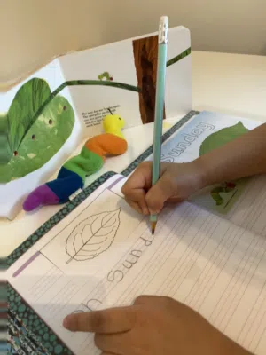 Female teacher from England tutors in your home