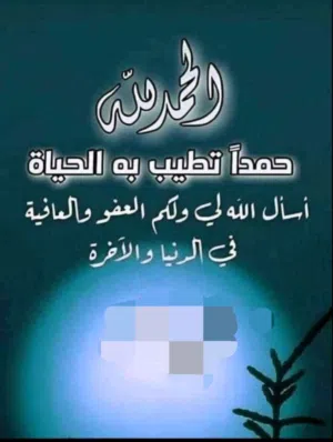 مطلوب ...باراولطي امامي وخلفي تويوتا كامري بقرة