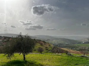 Farm Land for Sale in Zarqa Al-Alouk