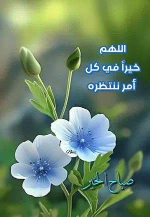 أبومحمدحيدر 