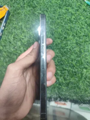 13 pro max