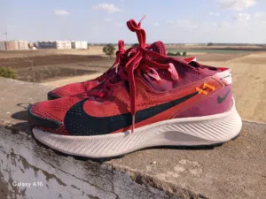 nike pegasus trail 2
