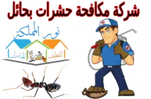 مكافحه حشرات بالكويت
