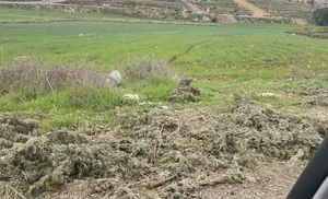Residential Land for Sale in Amman Naour