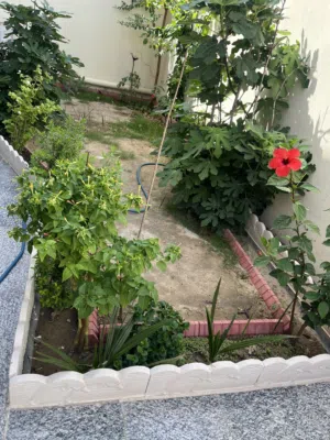 200 m2 3 Bedrooms Townhouse for Sale in Basra Al-Amal residential complex
