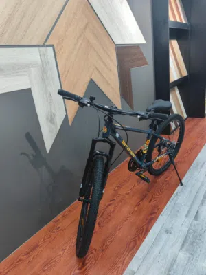 MOUNTAIN BIKE (26inches)