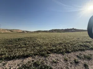 Residential Land for Sale in Amman Marka Al Janoubiya