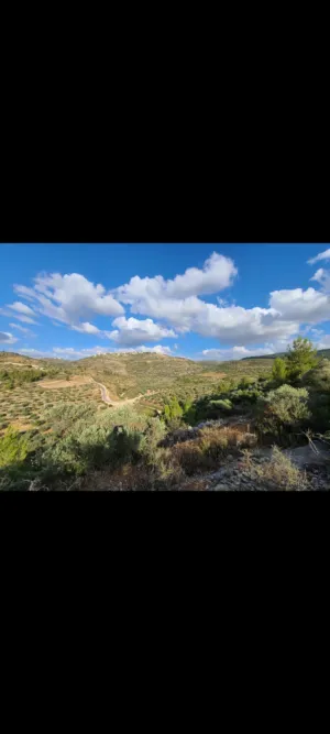 ارض مطلة للبيع