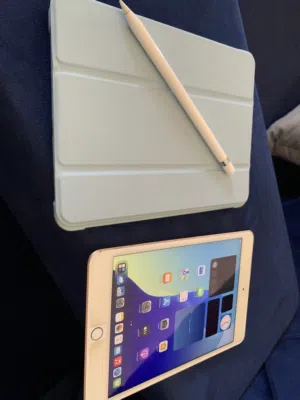 iPad mini 5