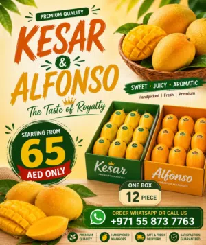 Kesar & Alfonso Mango Box