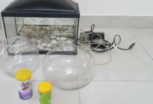 small aquarium حوض سمك صغير