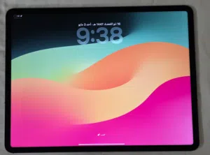 Apple iPad Pro 13 256 GB in Buraidah
