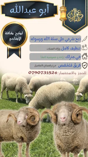 لحام منزلي متنقل لذبح كافة الاضاحي والعقائق والنذور مابيحلا العيد الا والاضحية بلبيت