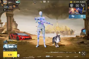 Pubg3