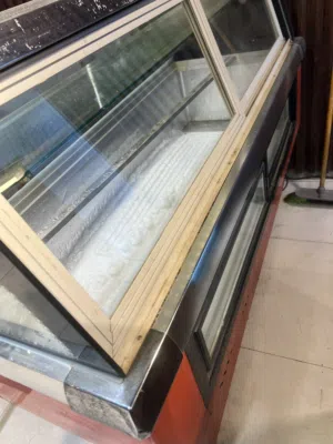 عارضه مقبلات حجم كبير