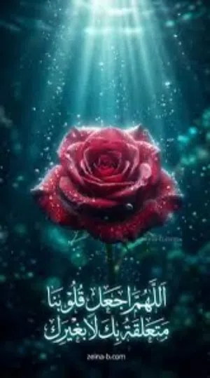 مطلوب فرد مشاركة سكن استديو بالسالمية شارع المطاعم خلف مستشفي السيف
