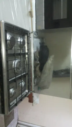 Shemenc Brand’s Second hand Gas Oven,s totally fresh quality everything is working properly